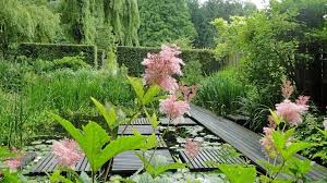 Image result for Mien Ruys