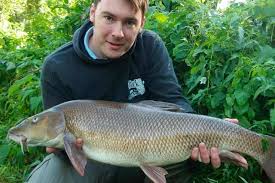 Image result for Woking & District Angling Association