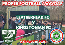 Image result for Leatherhead Football Club