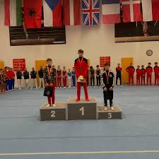 Image result for City Of Newcastle Gymnastics Academy