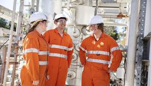 Image result for Netts