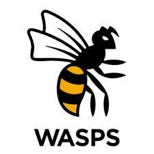Image result for Wasps Football Club