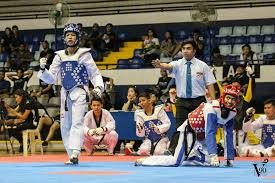 Image result for Crown Tae Kwon Do