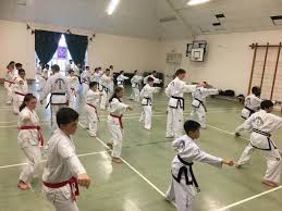 Image result for London Colney Tae Kwon Do  (I.T.F. / LTSI / A.F.T.)
