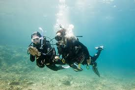 Image result for Dive Crew Scuba Diving