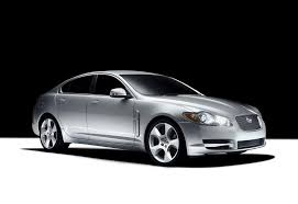 Image result for Silver Fox 2008 Jaguar