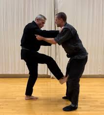 Image result for Central London Ninjutsu