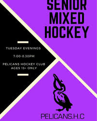 Image result for Pelicans Hockey Club