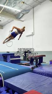 Image result for flip and twist