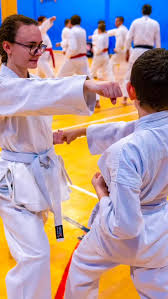 Image result for Bristol Karate Club