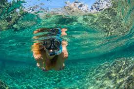 Image result for Wyndley NSC Snorkelling Club