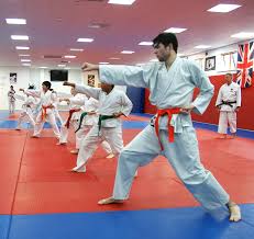 Image result for Martial Arts London