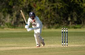 Image result for Edenbridge Cricket Club