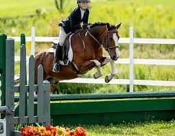 Image result for Weybridge Equestrian Centre