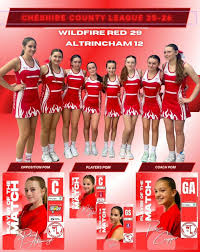 Image result for Verwood Town Netball Club