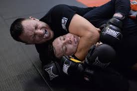 Image result for Full Element Mixed Martial Arts