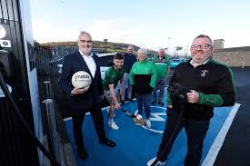 Image result for Sarsfield Gfc