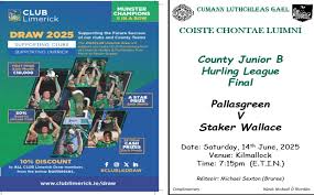 Image result for Limerick Draughts Club