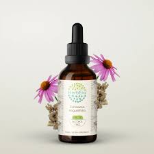 Image result for Echinacea angustifolia