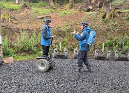 Image result for Go Ape! Whinlatter