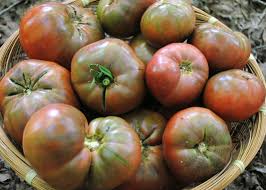 Afbeeldingsresultaat voor cherokee purple tomato