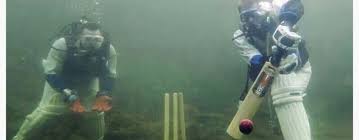 Image result for Park Hill Cricket Club