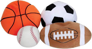 Image result for SportsAble