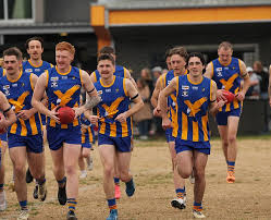 Image result for Eagles Netball Club