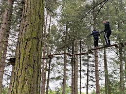 Image result for The Go Ape Experience (Delamere Forest)