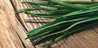 Image result for Schnittknoblauch