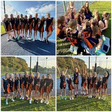 Image result for Hertford Hornets Netball Club