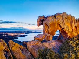 Image result for capo d'orso