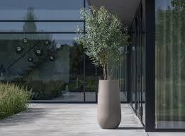 Attēlu rezultāti vaicājumam “Pottiales”