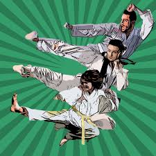 Image result for Vision Martial Arts