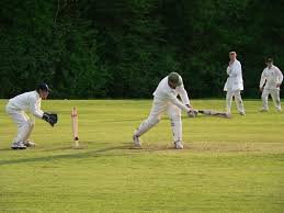 Image result for Jesters Cricket Club