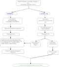 CHEMOTHERAPY EXECUTIVE GROUP