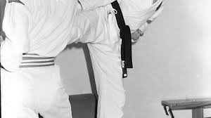 Image result for Ipswich Shotokan Karate Club
