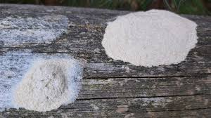 Attēlu rezultāti vaicājumam “Fuligo cinerea”