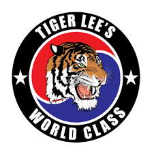 Image result for Kidderminster Tae Kwon Do Tigers