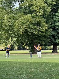 Image result for Bay Dragons CC