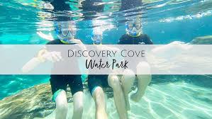 Image result for Discover Swimming