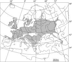 Attēlu rezultāti vaicājumam “Licea testudinacea young”