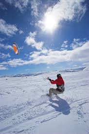 Image result for Baiter Power Kite