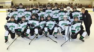 Image result for Stockton Ladies Hockey Club