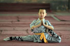 Image result for kung fu