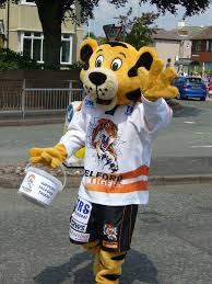 Image result for Telford Tigers