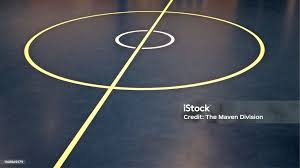 Image result for Sports Centre Netball