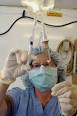 HowStuffWorks "How Anesthesia Works"