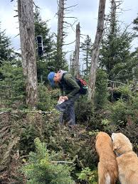 Image result for Norfolk Hillwalking Club