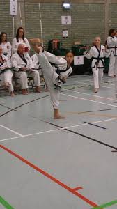 Image result for Tang Sou Dao Ren Yi Wu Kwan - Huntingdon